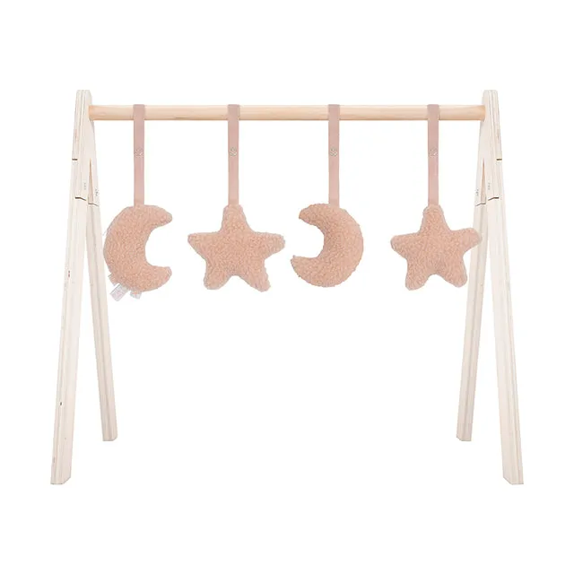 Babygym Toys