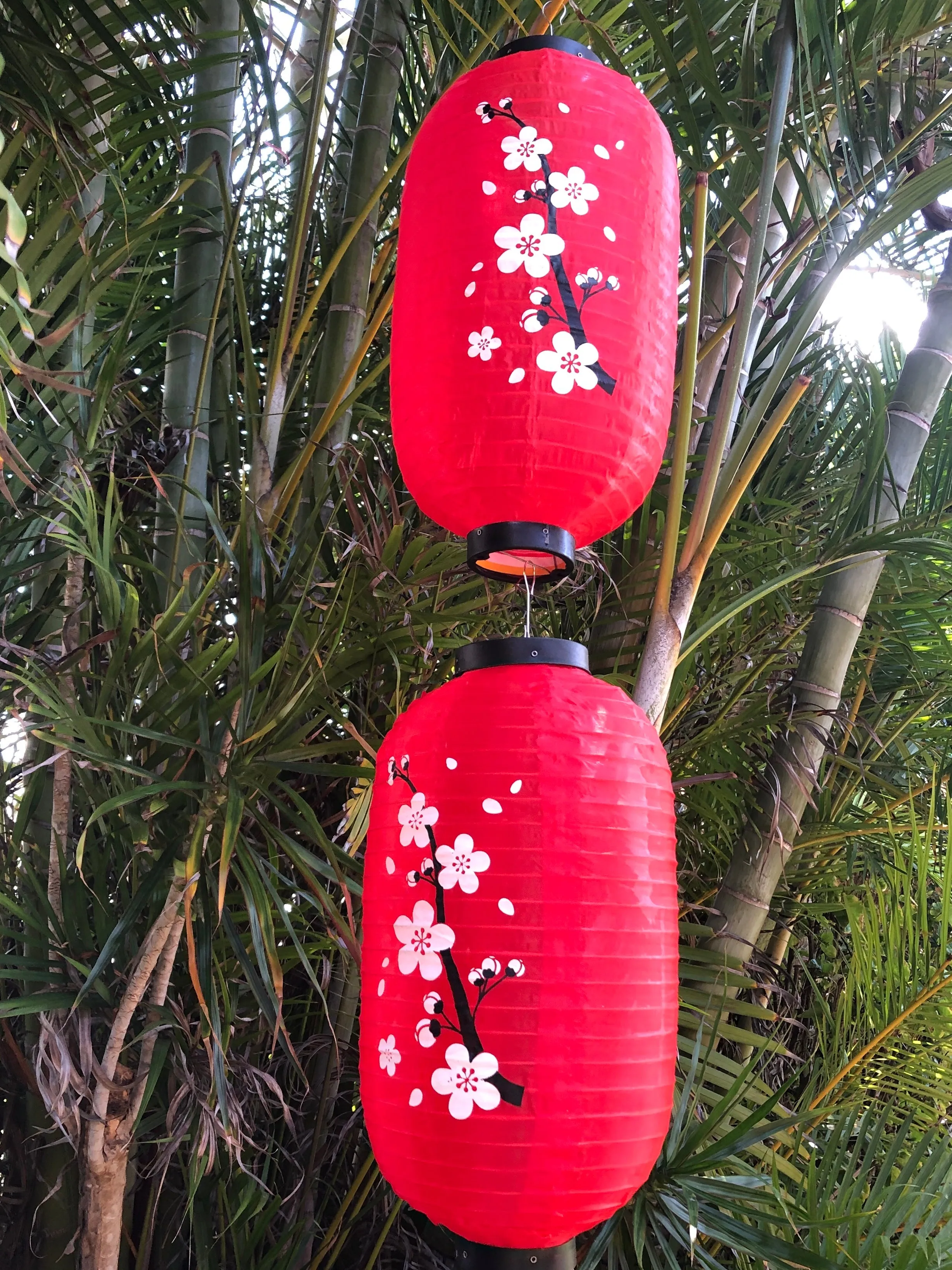 Cherry Blossom Lanterns 25cm x 45cm - Red Nylon 2 PACK