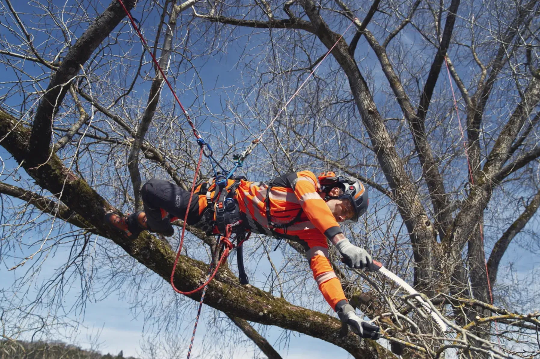 Husqvarna Climbing Harness