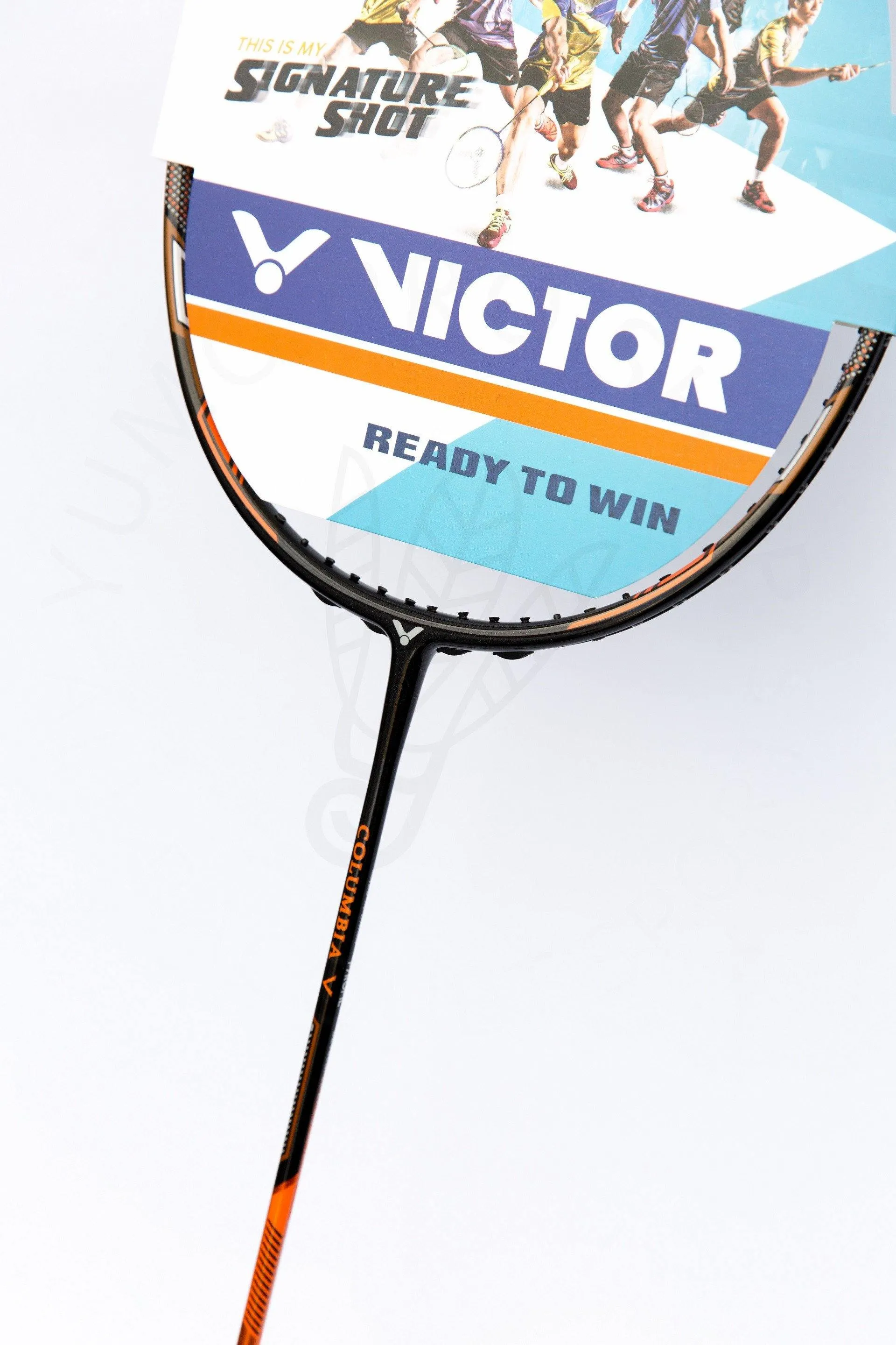 Victor Columbia V Badminton Racket