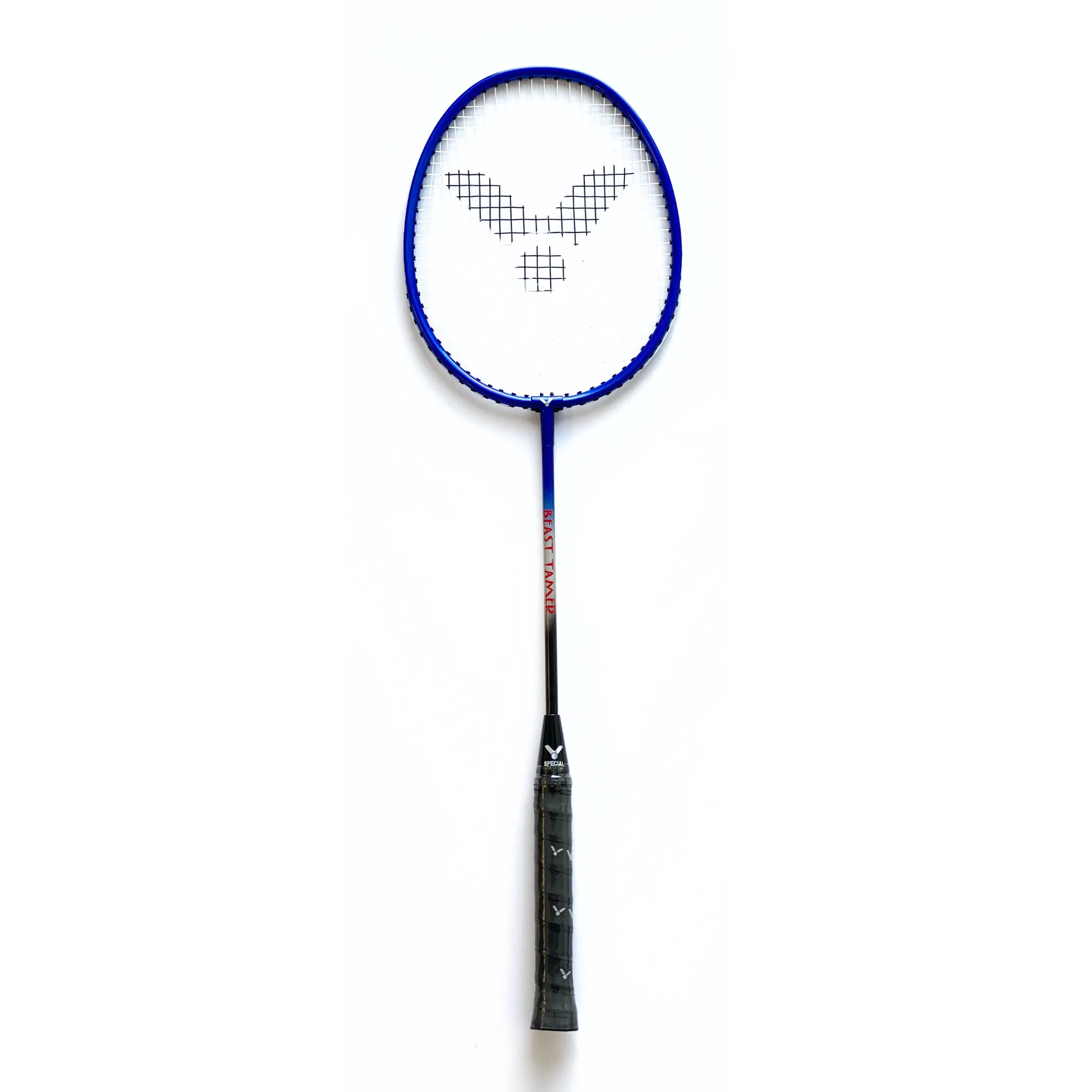 Victor Portable Outdoor Badminton Set - AL3000 Beast Tamer