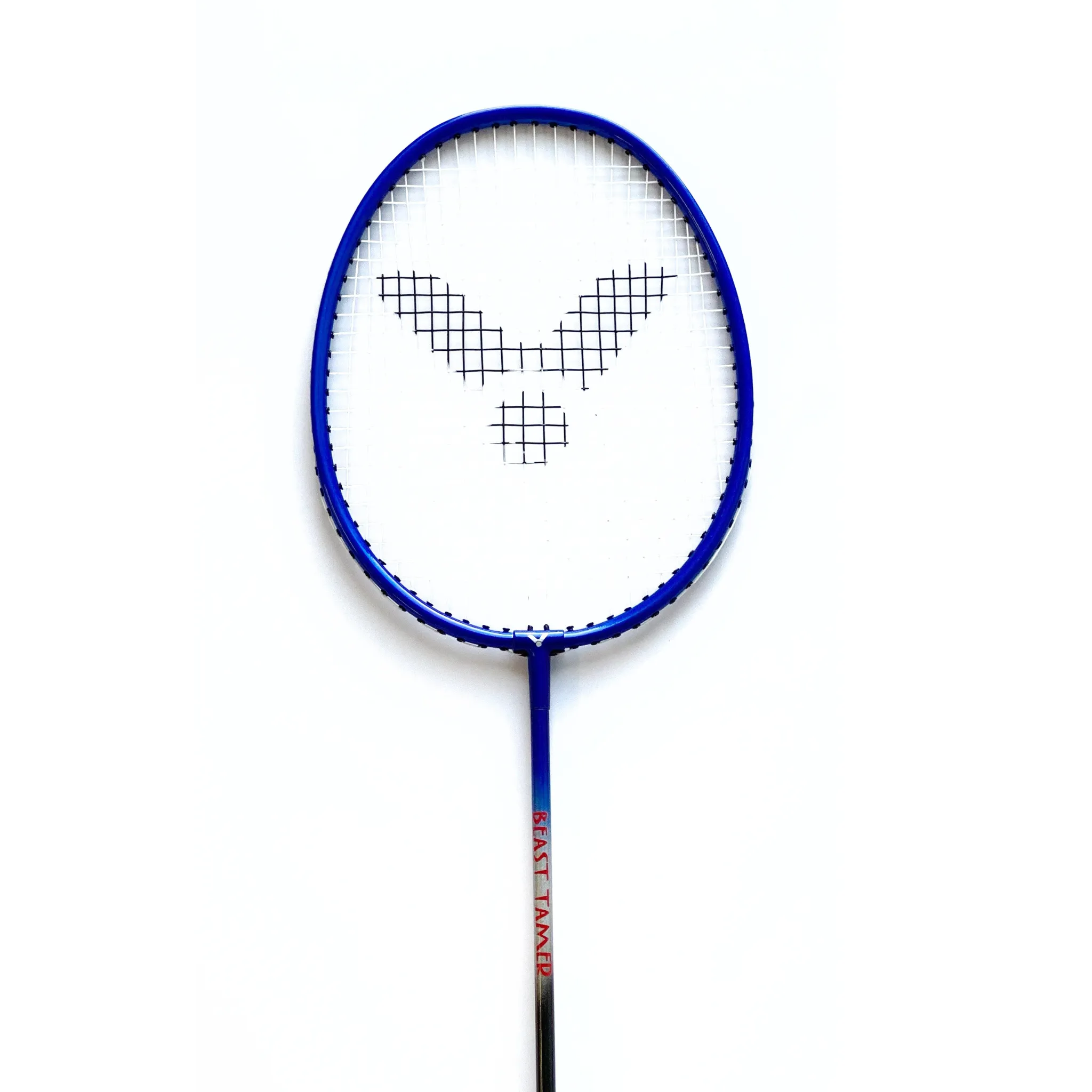 Victor Portable Outdoor Badminton Set - AL3000 Beast Tamer