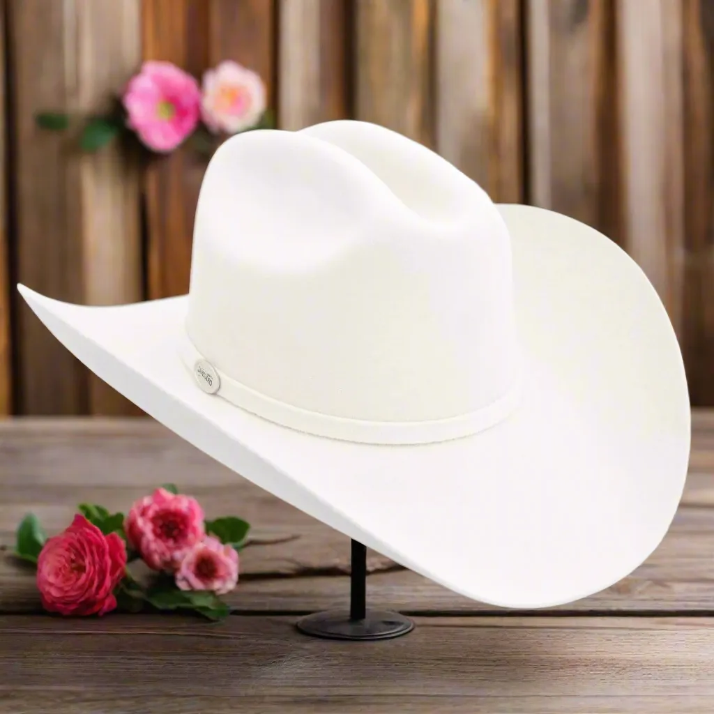 Western Hat NA-WD0668-622